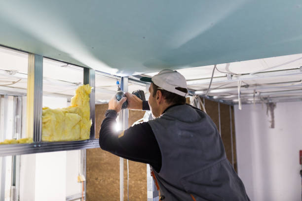 Best Residential Insulation in Limon, CO